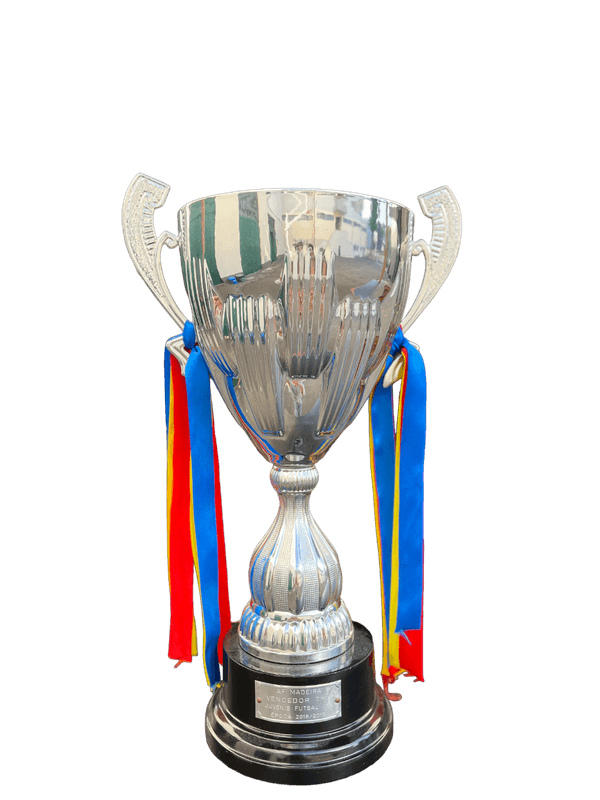 Vencedores da Taça da Madeira - juvenis