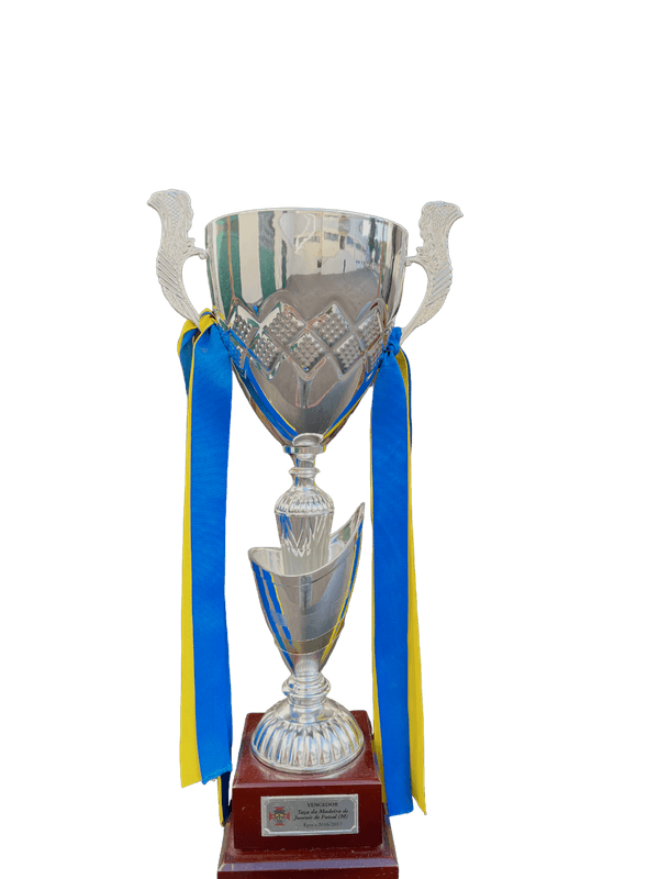 Vencedores da Taça da Madeira - juvenis