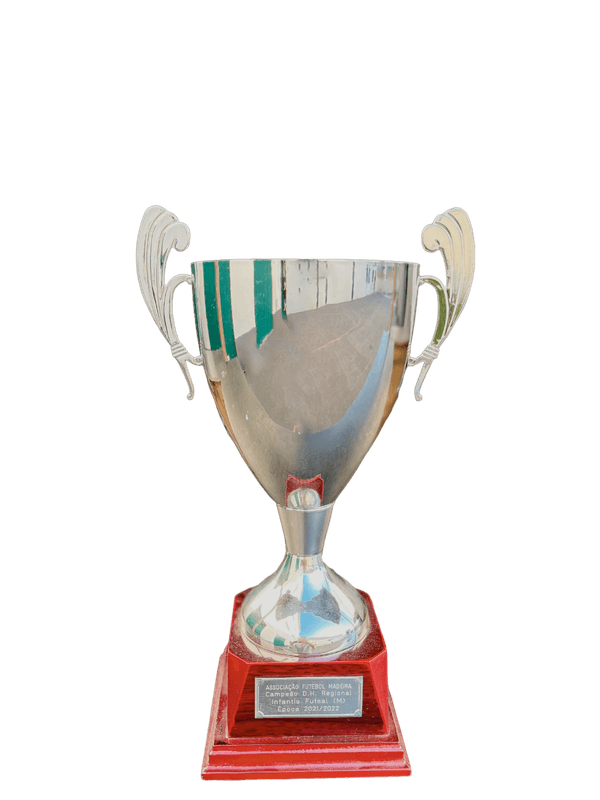 Campeões Regionais - infantis