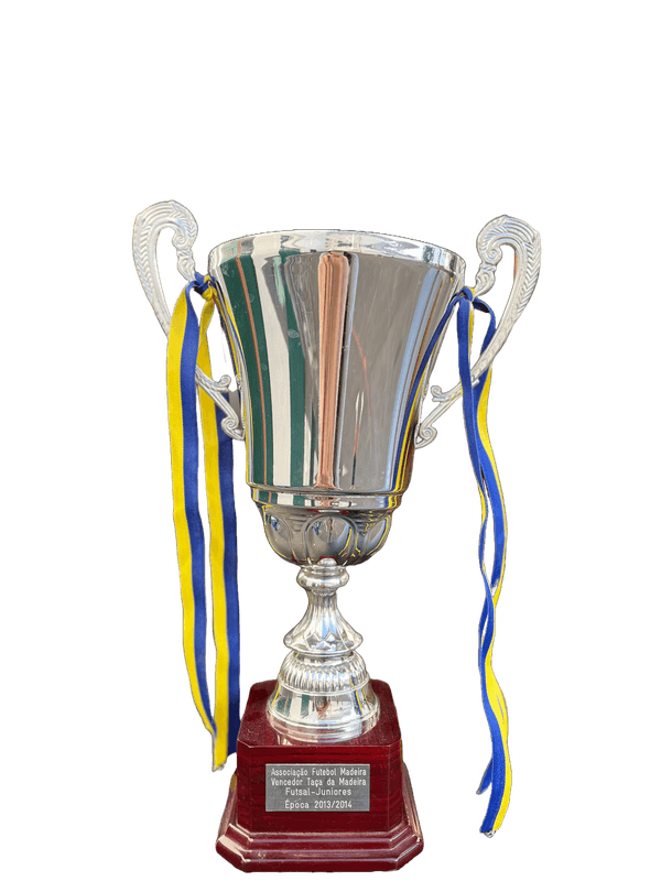 Winners of the Madeira Cup - juniors