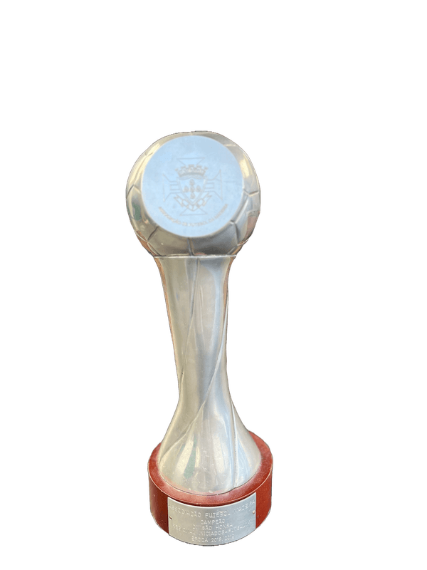 Campeões Regionais - iniciados