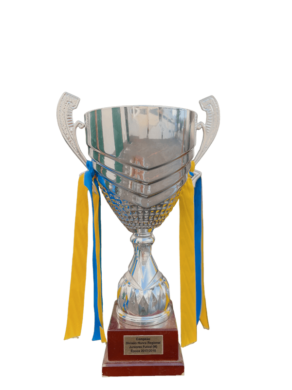 Campeões Regionais - juniores