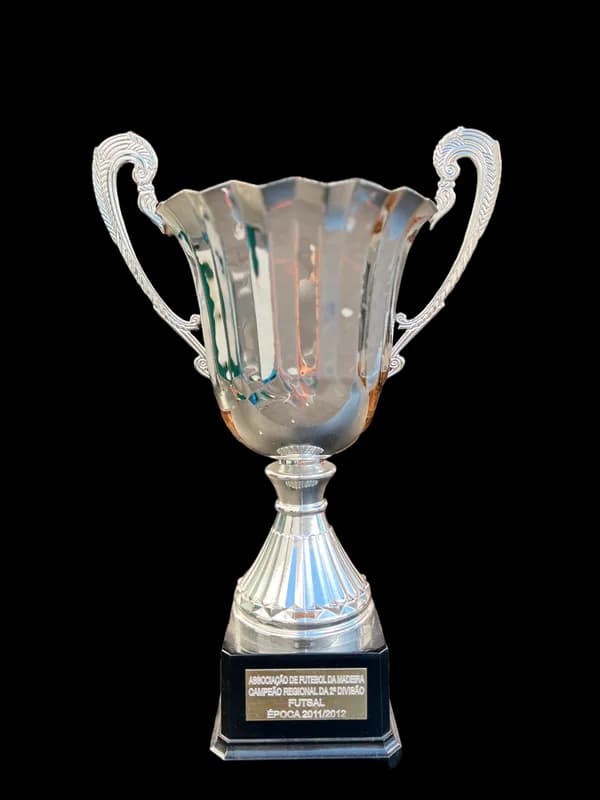 Campeões Regionais da II Divisão - seniores