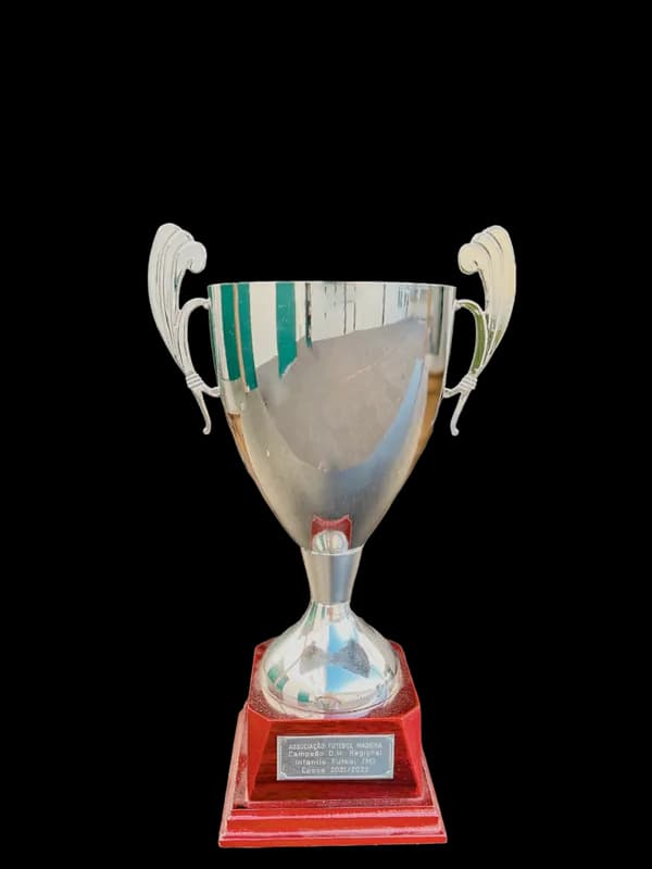 Campeões Regionais - infantis
