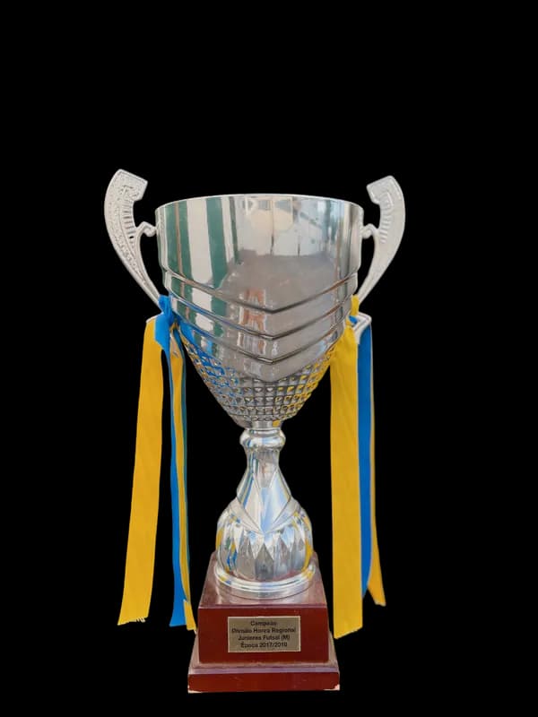Campeões Regionais - juniores
