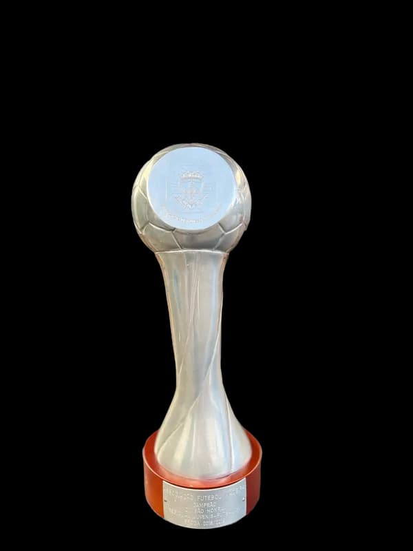 Campeões Regionais - juvenis