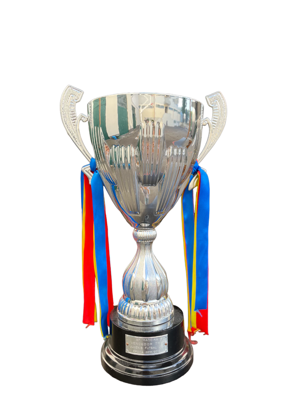 Vencedores da Taça da Madeira - juvenis
