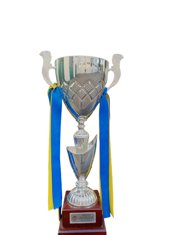 Vencedores da Taça da Madeira - juvenis