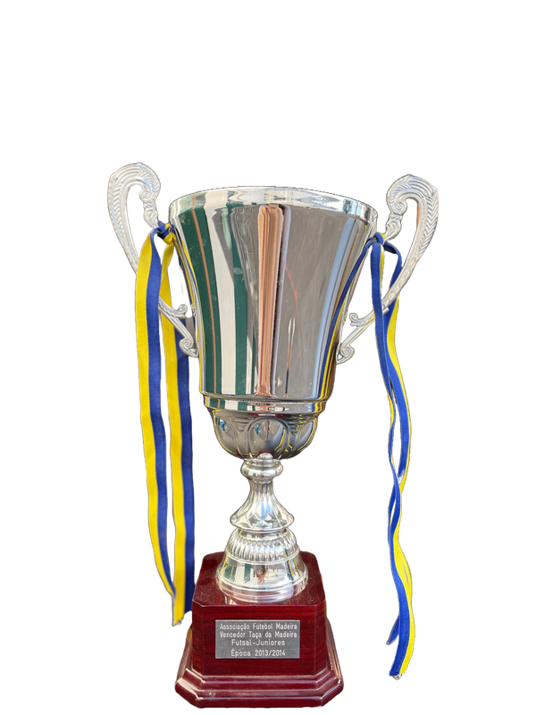 Vencedores da Taça da Madeira - juniores